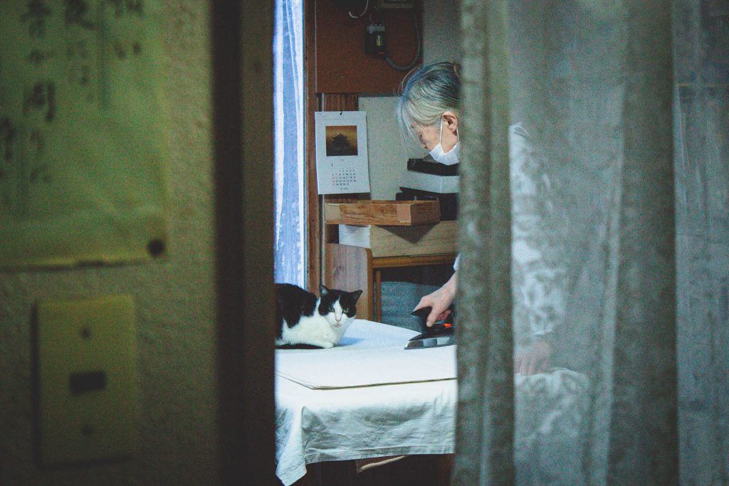 Oma bügelt, Katze schaut | Berg- und Talfahrt