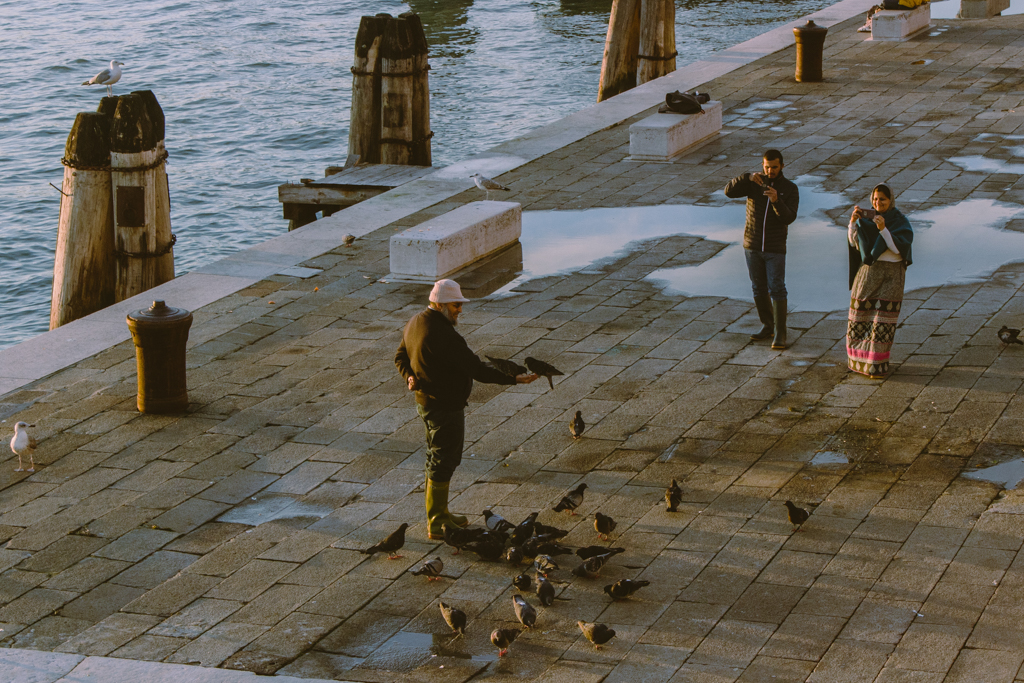 Mann der Tauben füttert und dressiert. Venedig, Italien.