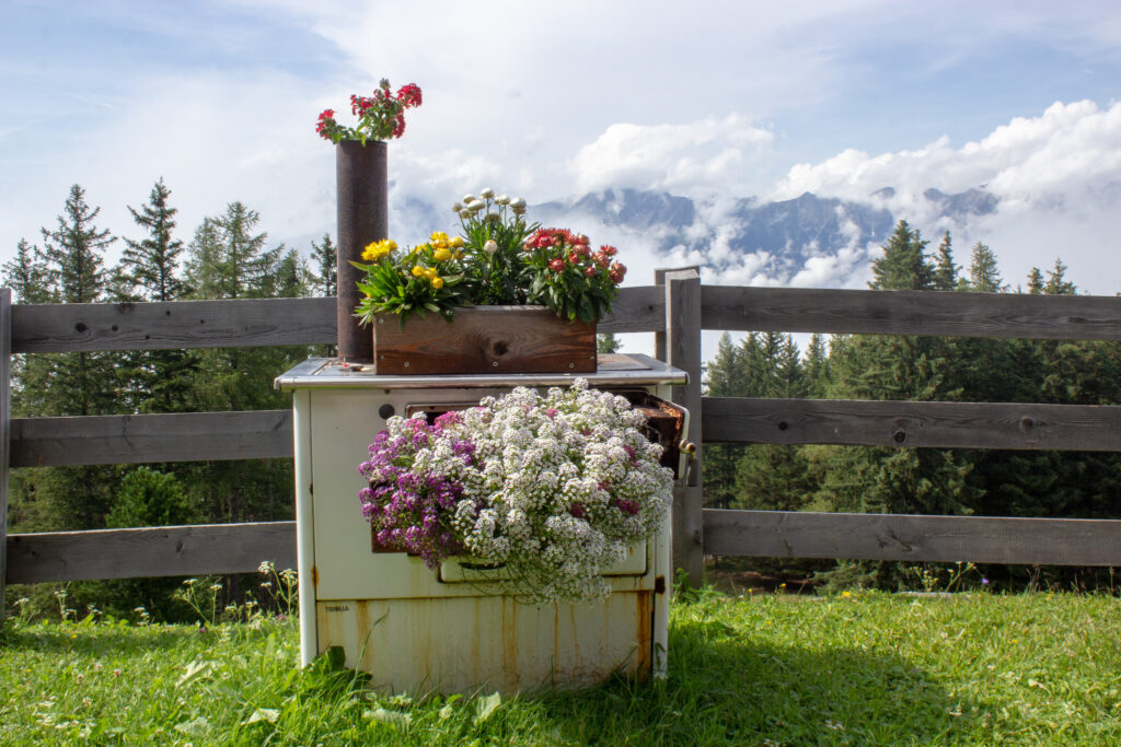 Wolken Nordkette, Berge, Gebirge, Innsbruck, Tirol, Sistrans Alms, Ofen, Blumen