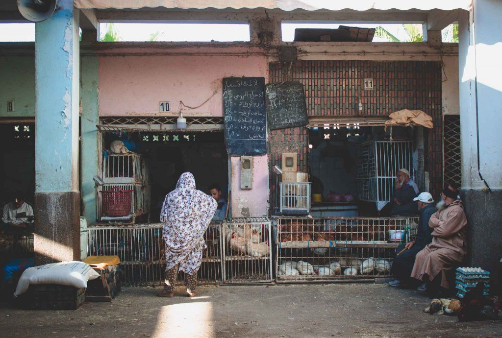 Markt Marokko mit Hühnern und Eier | Berg- und Talfahrt